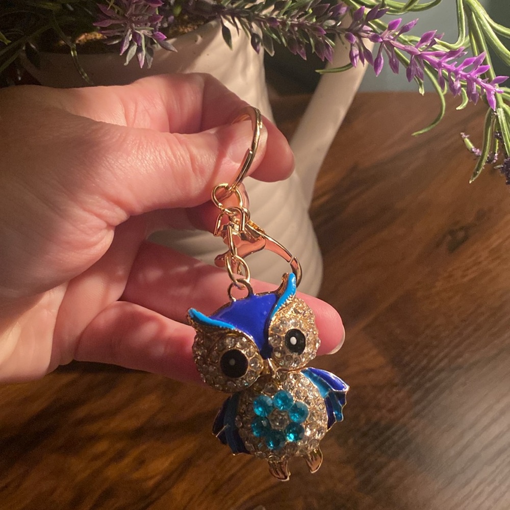 Owl Bag Charm/Key Chain